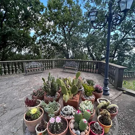Casa Anna Maria Apartment